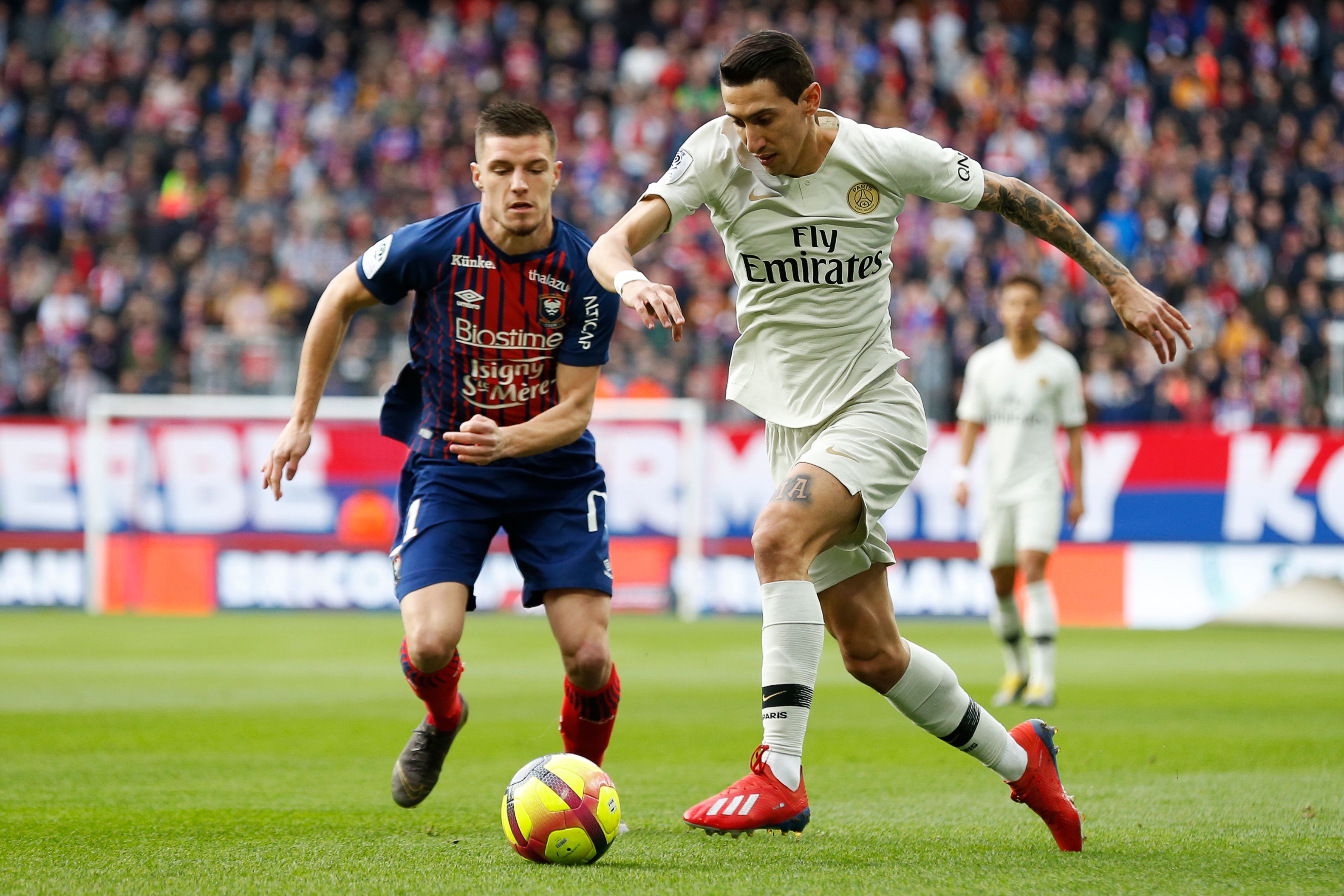 马雷斯卡：埃斯特旺像个旧时代的孩子，他不沉迷于手机和社媒（马雷斯卡：埃斯特旺是个老派的孩子，远离手机与社交媒体）